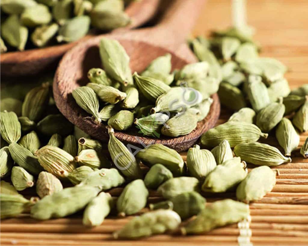 Cardamom Natuurlijke etherische olie